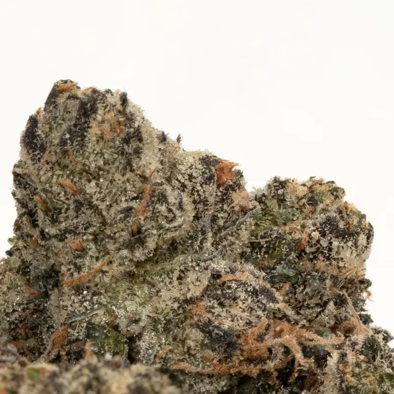 rainbow belts strain extreme closeup rainbow belts strain extreme closeup