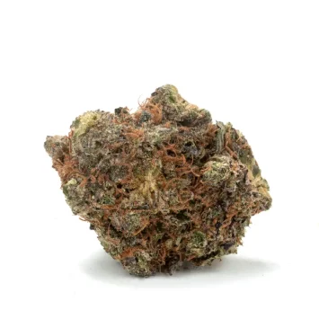 rockstar-kush