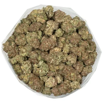 round-chunk-rock-tuna-strain-buds