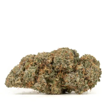 sherb cream pie strain