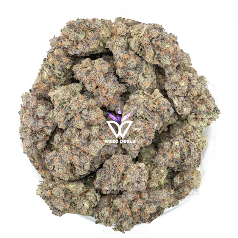 over the top view of beautiful sherbquake buds