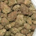 shishkaberry-super-bulk-closeup-