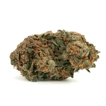 skunk dawg detailed single bud