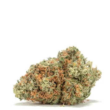 snow-white-strain