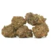 sour-og-kush-pile of marijuana flowers