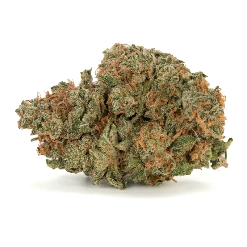 sticky buns strain compact bud sticky buns strain compact bud
