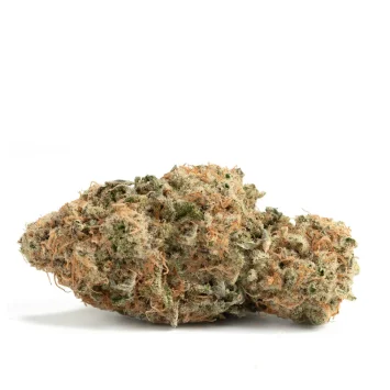 strawberry shortcake strain