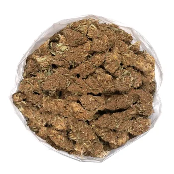 sweet-berry-kush-bag-of-vibrant-buds