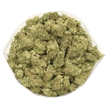 Tangerine Dream strain bulk
