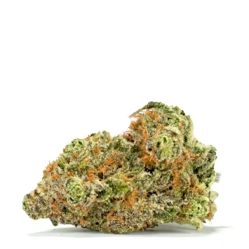 tangerine-twist single bud