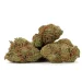 three scout master strain chunky buds