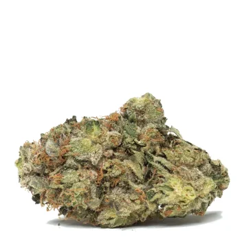 Tom Ford Strain