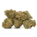 tropicana-haze-strain-stacked-nugs