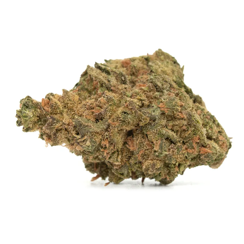 tropicana haze strain tropicana haze strain